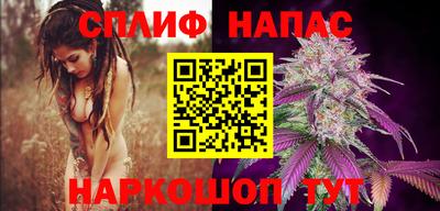 крисы Бузулук