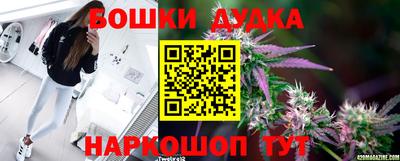 крисы Бузулук