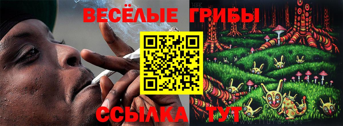 Псилоцибиновые грибы Magic Shrooms Туймазы